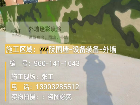 长春 迷彩漆喷涂价格（按平方米计费）